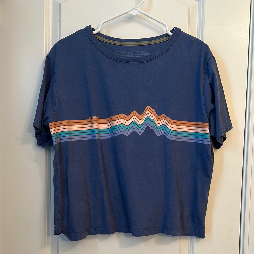 Patagonia Graphic T-Shirt with Colorful Stripe